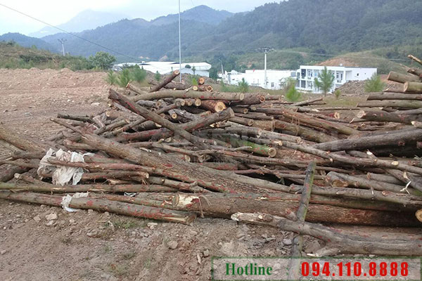 Lap dat may nghien GM 200SM tại Quang Ninh 4